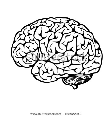 450x470 Drawn Brain Detailed