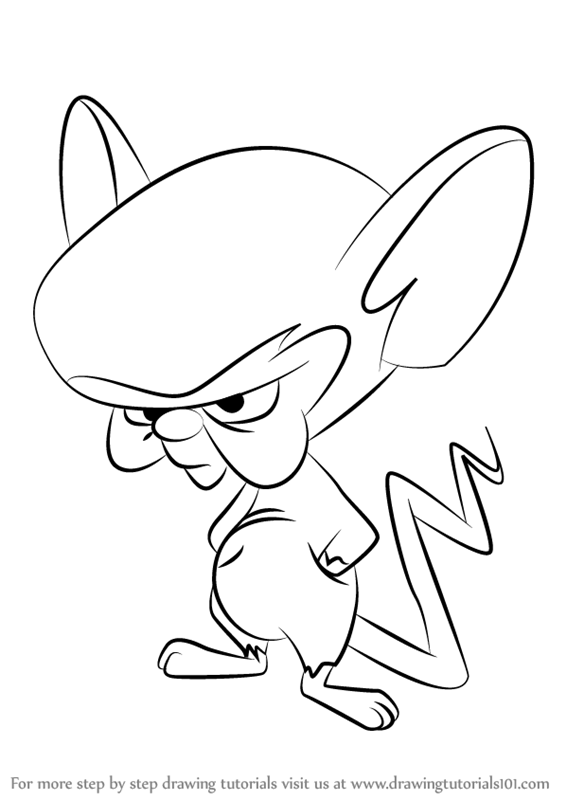 566x800 Learn How To Draw Brain From Animaniacs (Animaniacs) Step By Step