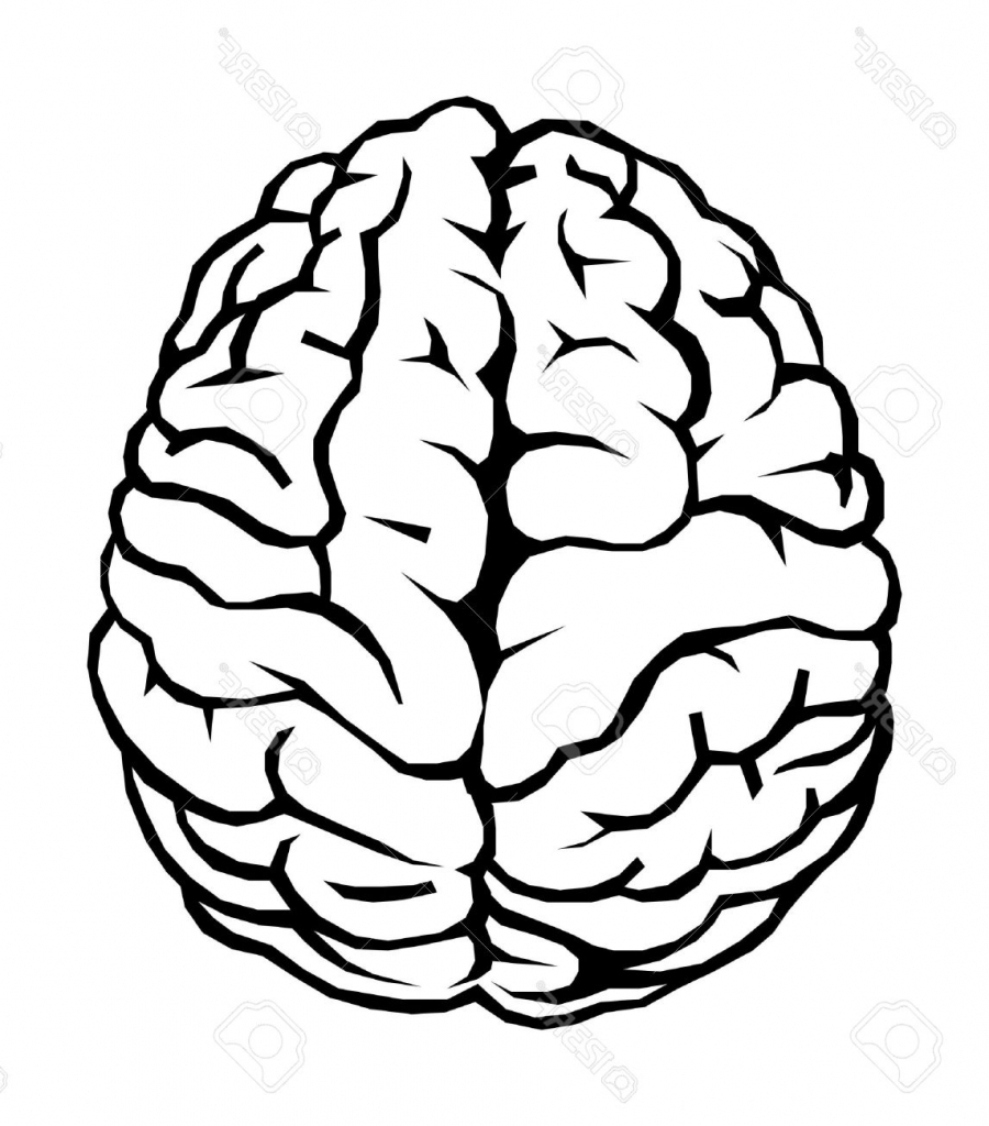 900x1024 Pictures Simple Drawing Of A Brain,
