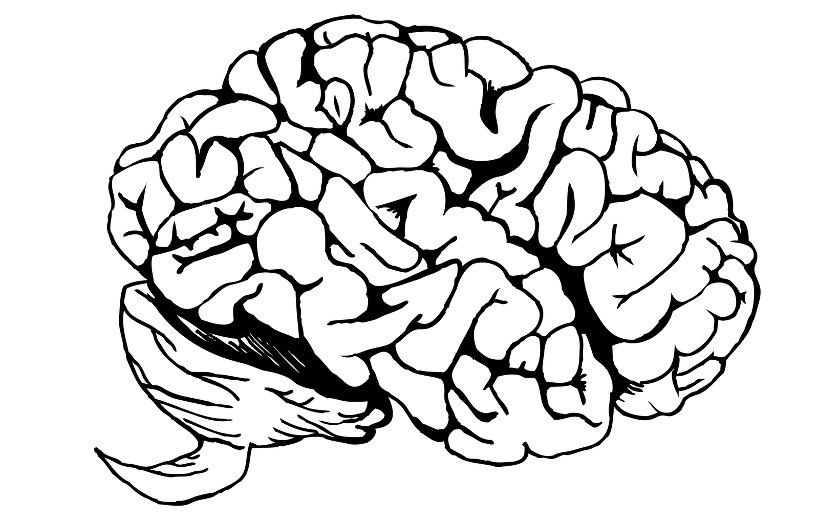 1600x1020 Beautiful Brain Coloring Page