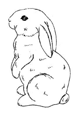 250x390 Bunny Sitting Up Bunnies! Bunny, Rabbit And Drawings