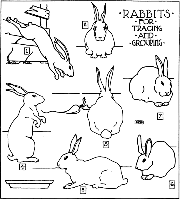 612x681 How To Make Pop Up Easter Bunny Rabbit Cards Crafts Idea