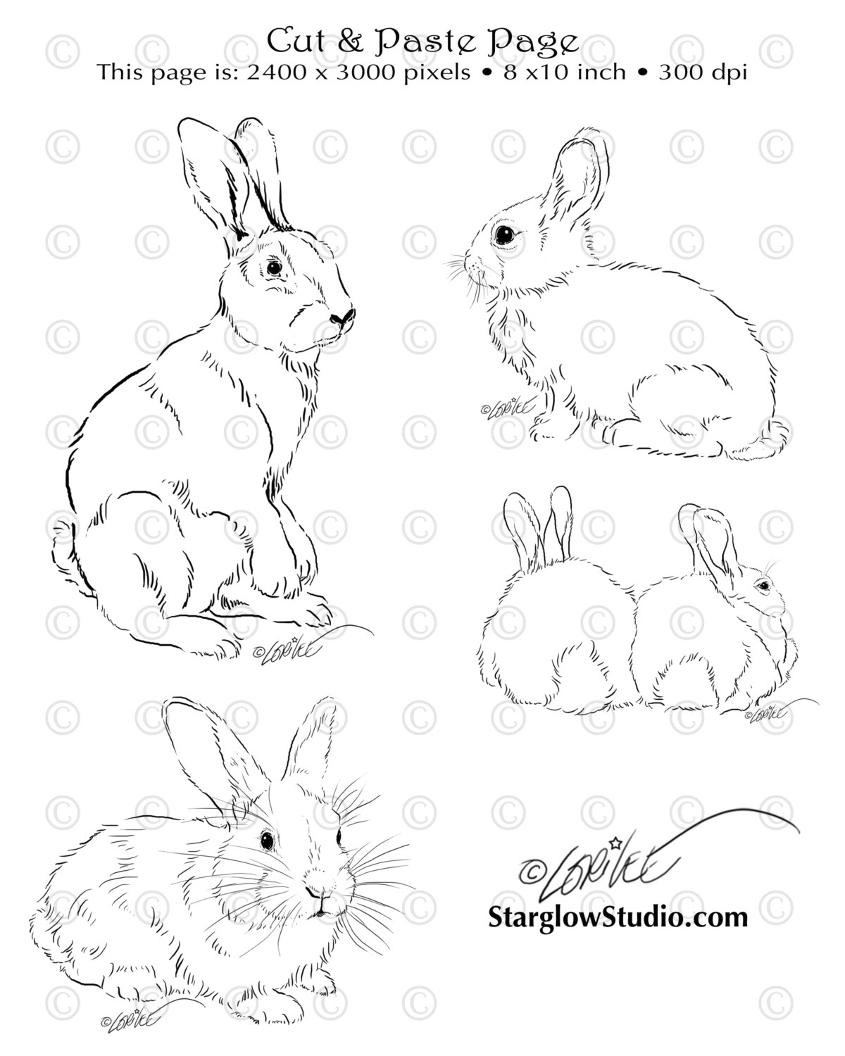 1200x1500 4 Bunny Rabbit Drawings Clip Art Sketches By Starglowstudio