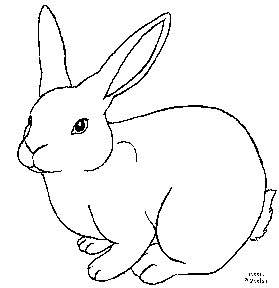 Line Drawing Bunny Rabbit at GetDrawings | Free download
