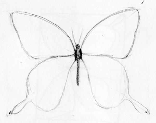 600x473 Butterfly Drawing