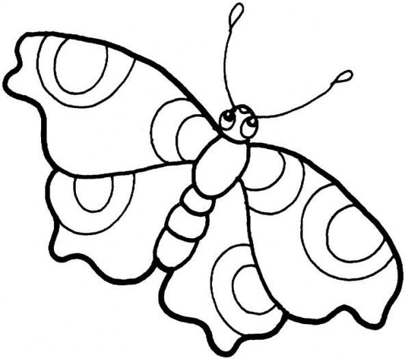 592x525 Butterfly Drawing