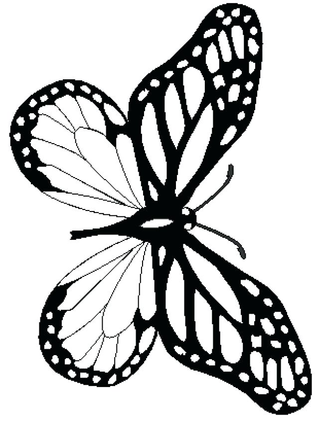 640x844 Cute Butterfly Coloring Pages Cute Butterfly Line Drawing Coloring