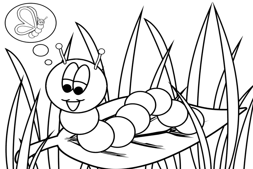 850x567 List Of Beautiful Caterpillar And Butterfly Coloring Pages