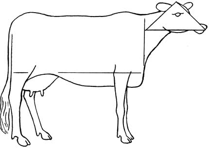 430x305 How To Draw Cows