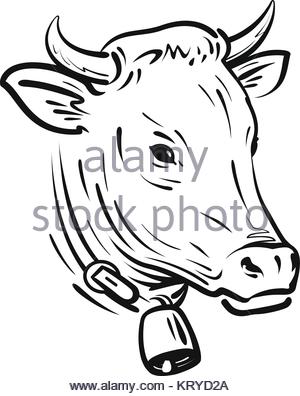 300x396 Line Drawing Of Cow And Calf Stock Photo 32482420