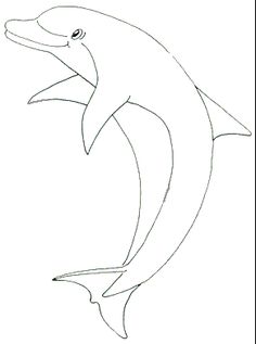 236x317 Dolphin Drawings In Pencil How To Draw A Dolphin Drawing Ideas