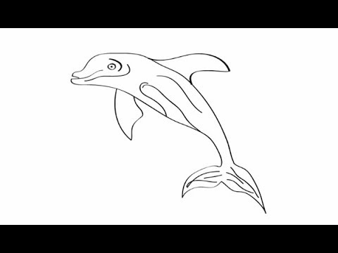 480x360 Drawing For Kids How To Draw Dolphin Fish Drawing Learn