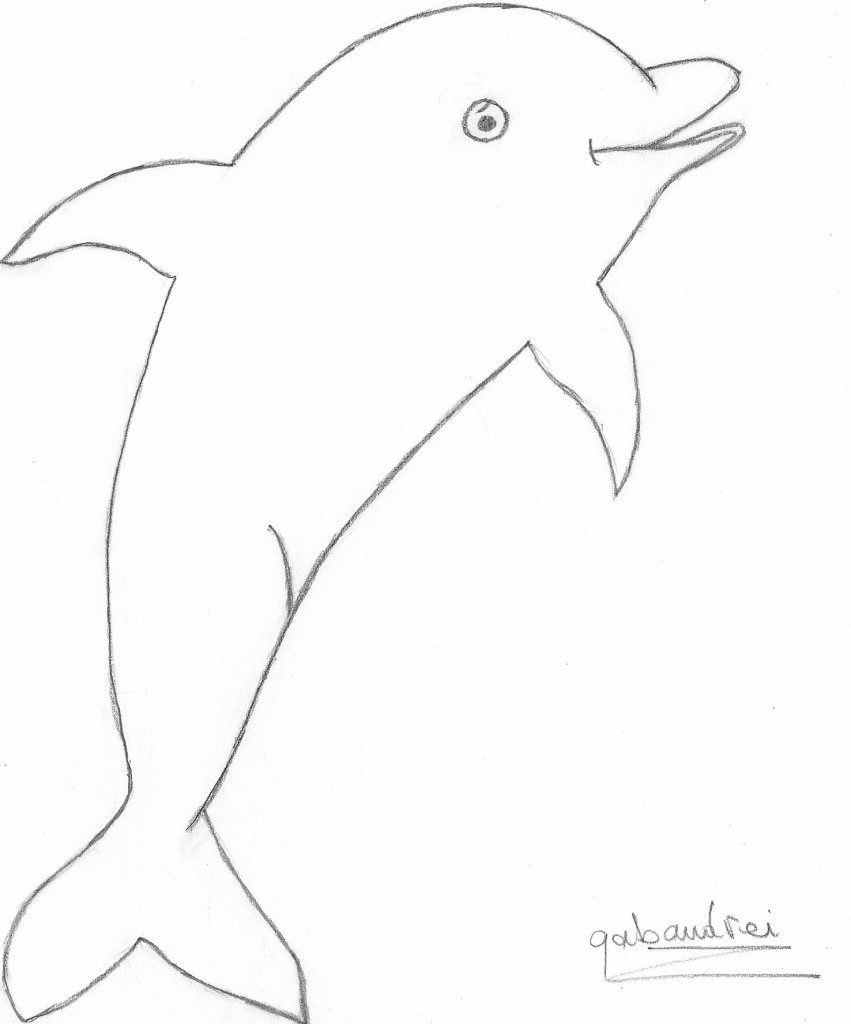 851x1024 Drawings Of Dolphins Happy Dolphin Drawing Dolphinspedia
