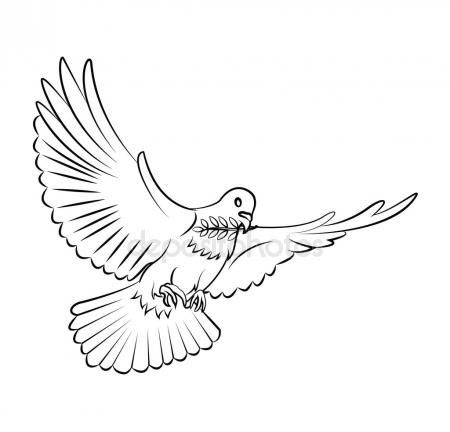 Line Drawing Dove at GetDrawings | Free download