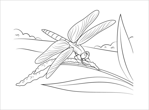 585x431 Dragonfly Templates, Crafts Amp Colouring Pages Free Amp Premium