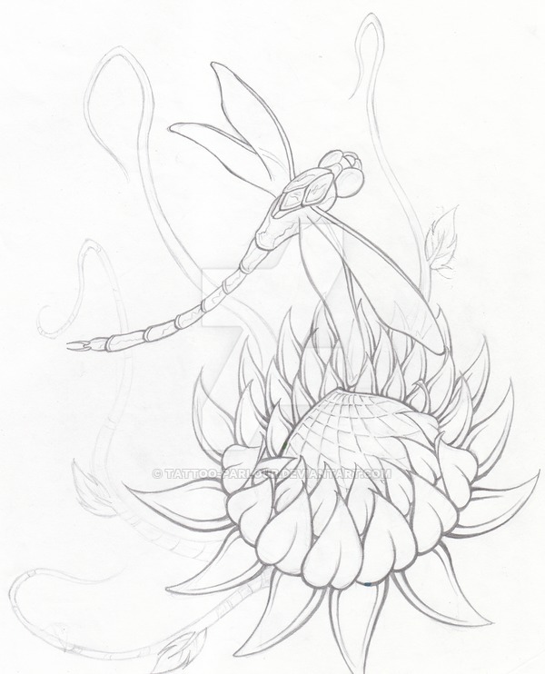 600x742 Lotus Dragonfly Wip