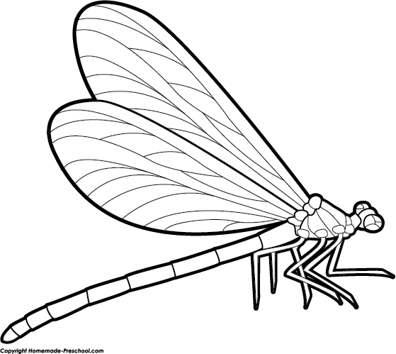 559x499 Clipart Dragonfly Dragonflies And Cross Stitch