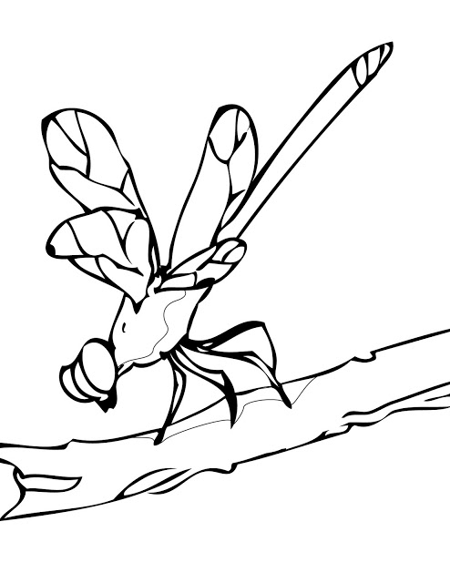 494x640 Cute Animal Dragonfly Coloring Pages Pictures To Print For Kids