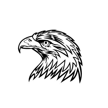 380x380 Eagle Head Line Drawing Tattoo