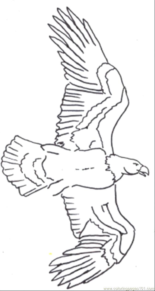 650x1220 Coloring Draw Coloring Pages Eagle Line Drawing 3 Page So Cute