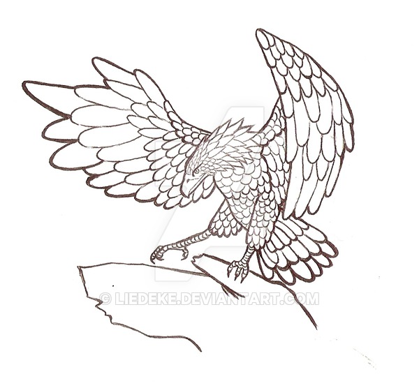600x556 Eagle Lines By Liedeke