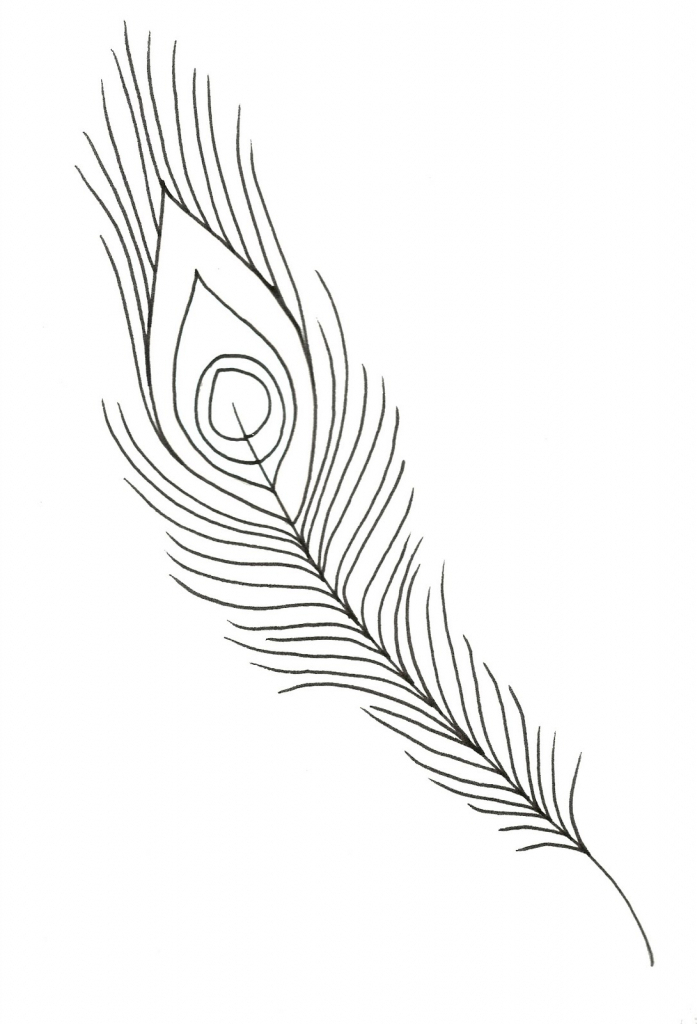 697x1024 Peacock Feathers Drawing Black And White Peacock Feather Drawing