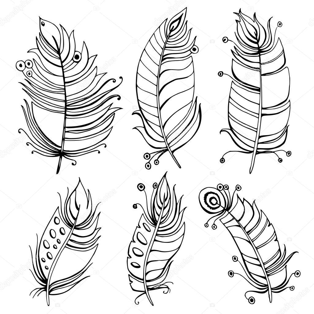 1024x1024 Hand Drawn Line Art Of Feathers With Ornaments Stock Vector