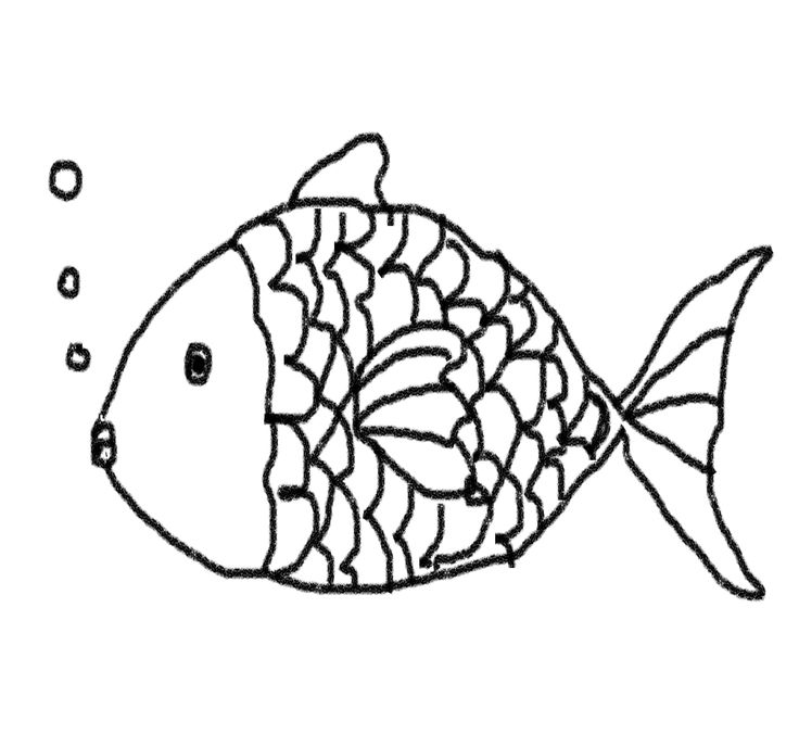 736x676 Fish Line Drawing Group