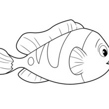 220x220 Fish Coloring Pages, Drawing For Kids, Reading Amp Learning, Kids