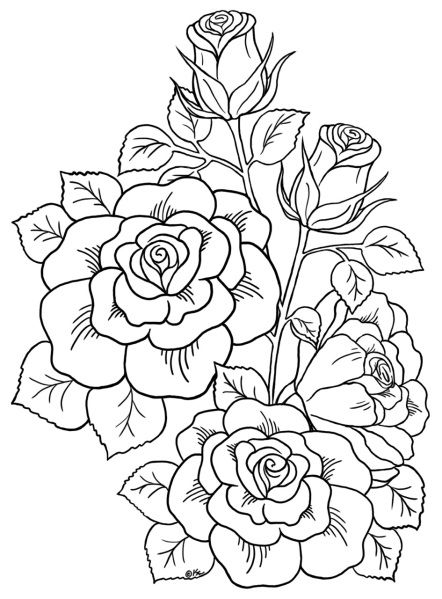 Line Drawing Flowers