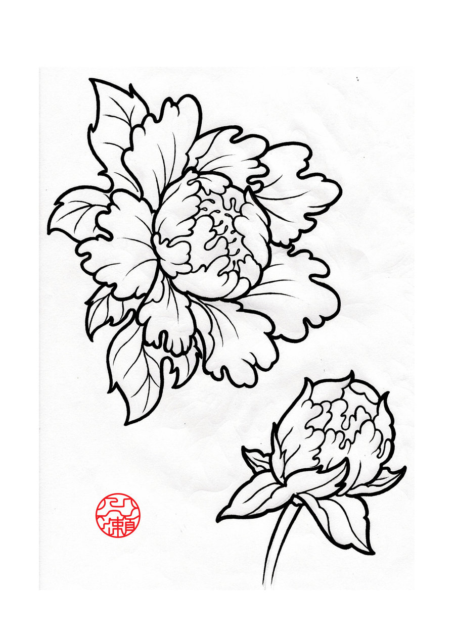 900x1273 Drawn Peony Line Drawing