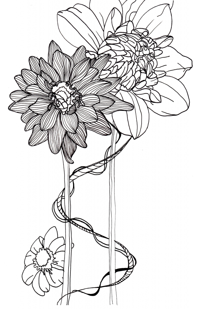 662x1024 Flower Line Drawings Flower Line Drawings
