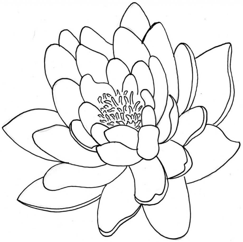 1024x1021 Japanese Flowers Drawings Easy