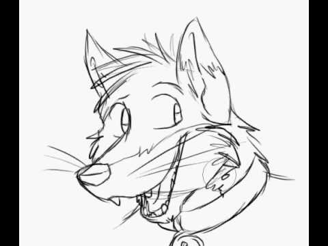 480x360 How To Draw A Quick Fox