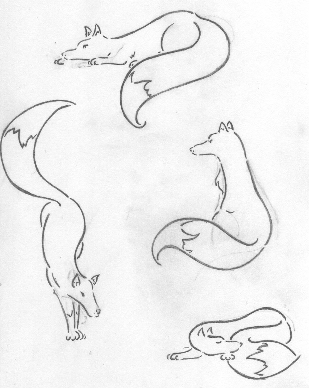 1024x1283 Fox Sketch Fine Art Inspiration Fox Sketch