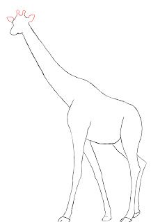240x320 Giraffe Drawing Images Tags Giraffe Drawing Images Sketch