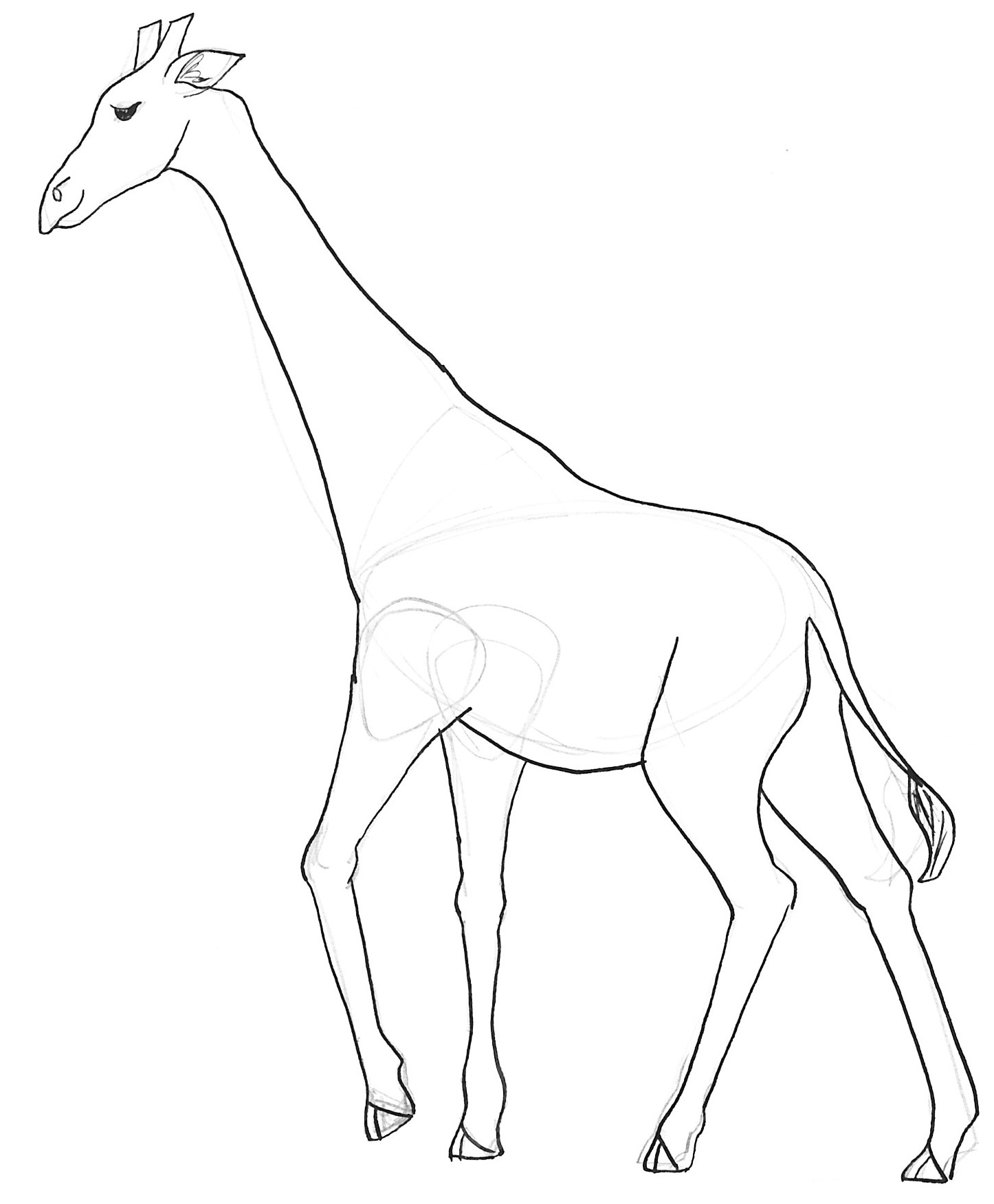 1446x1752 Giraffe Sketch Drawing