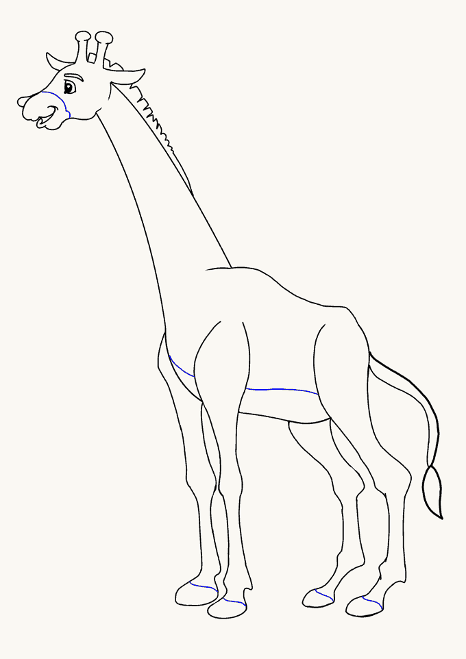 680x962 How To Draw A Giraffe In A Few Easy Steps Easy Drawing Guides