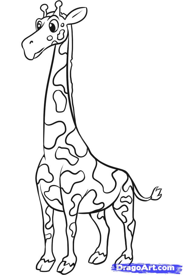 604x904 How To Draw A Simple Giraffe, Step By Step, Safari Animals