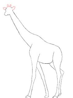 236x314 Photos Line Drawing Giraffe,
