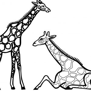 Line Drawing Giraffe at GetDrawings | Free download