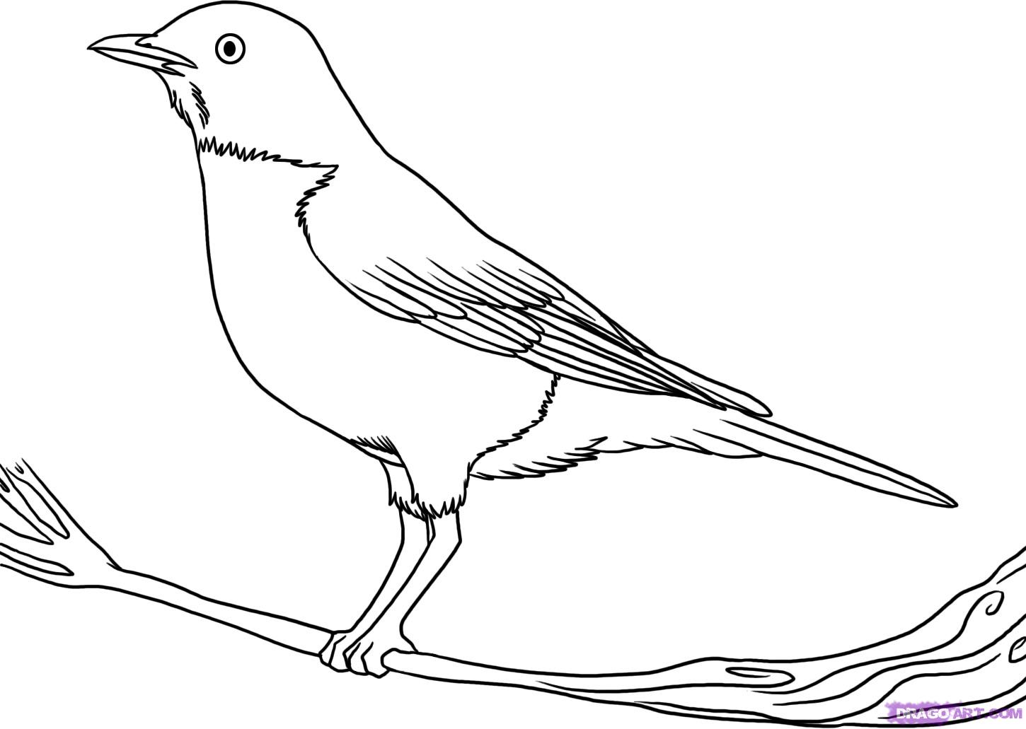 1450x1031 Gallery Drawing Picture Of Bird,