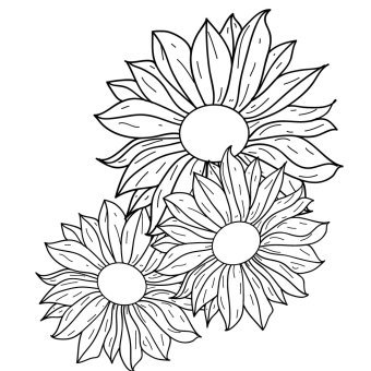 340x340 Flower Outline Vectors Download Free Vector Art Amp Graphics
