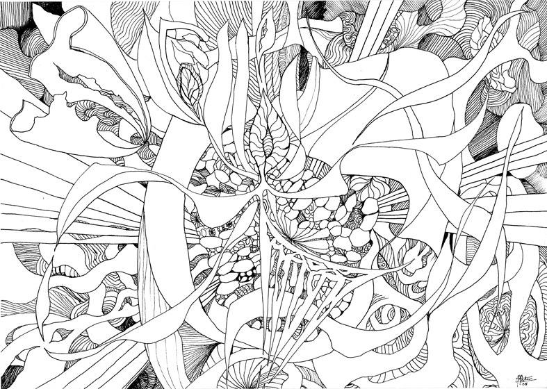 787x560 Line Drawings