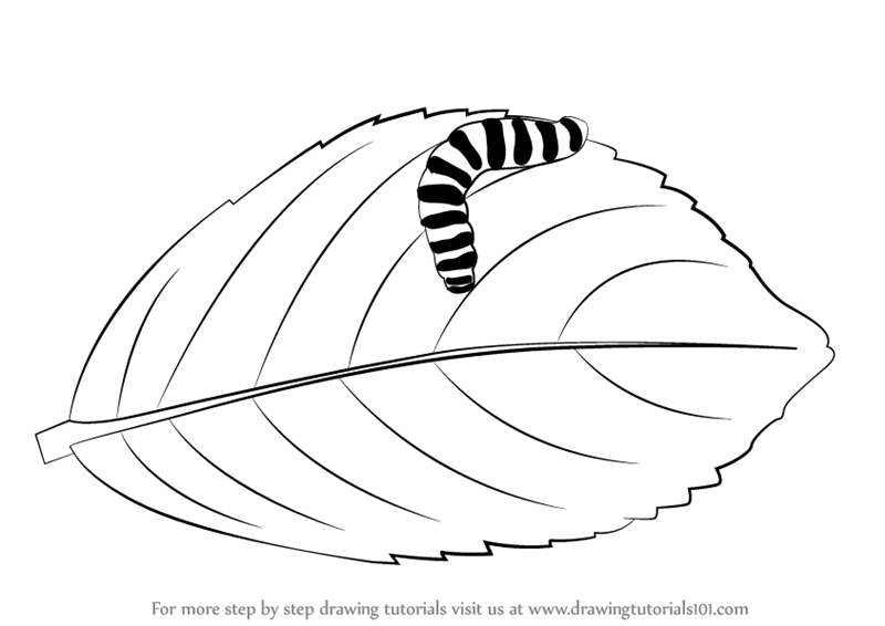 800x566 Learn How To Draw A Caterpillar On A Leaf (Insects) Step By Step