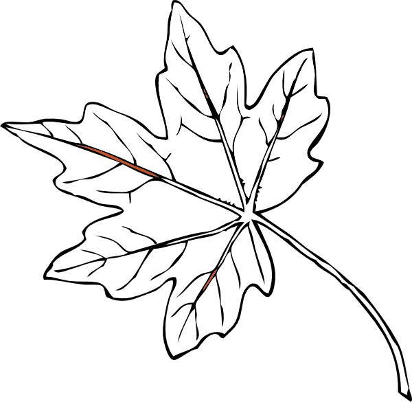 600x585 Maple Leaf Clip Art