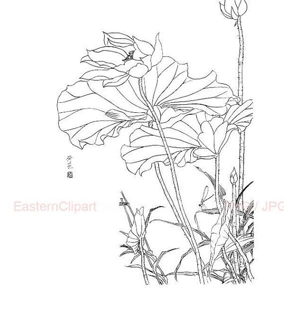 570x641 19 Best Chinese Line Drawing Images On Templates, Clip