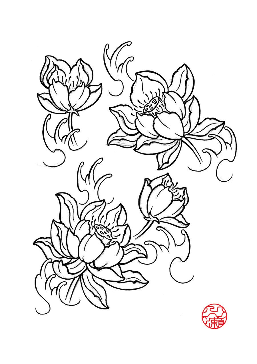 900x1273 Pictures Japanese Lotus Drawings,