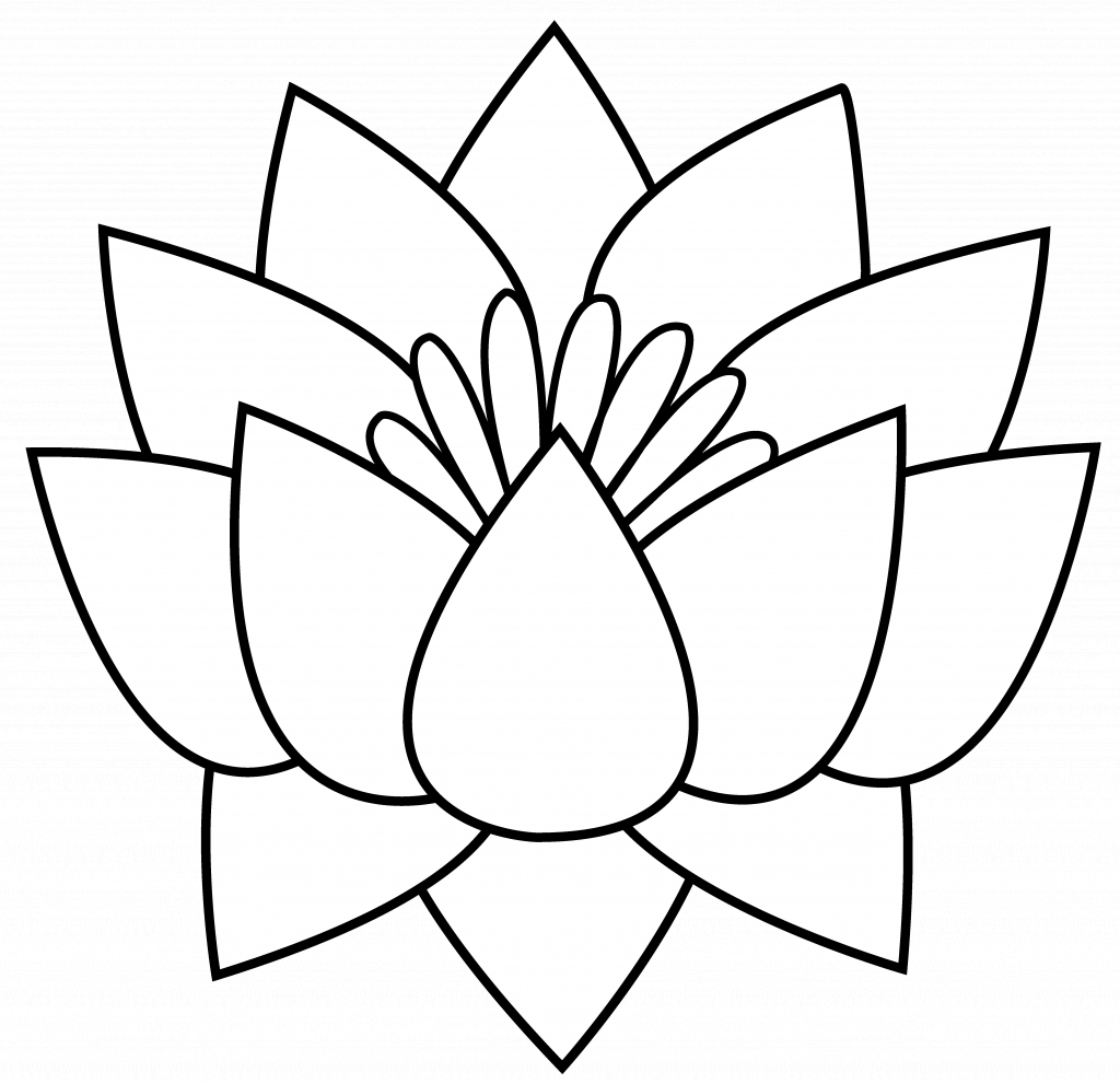 1024x991 Flower Lotus Drawing Lotus Flower Line Drawing
