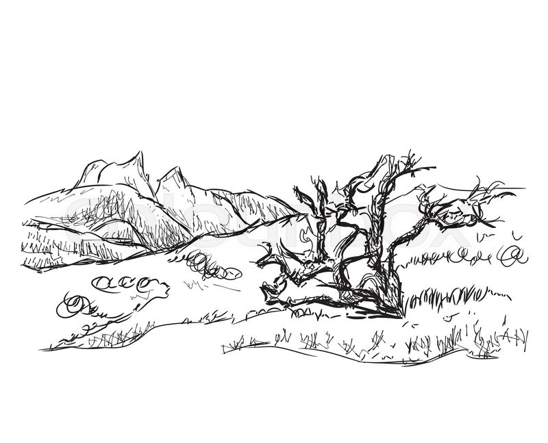 800x647 Hand Drawn Mountains Vector Illustration. Landscape Sketch